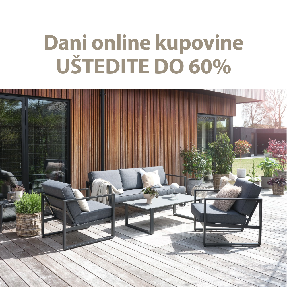Dani online kupovine